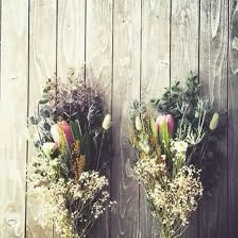 秋山 梨香の掲載