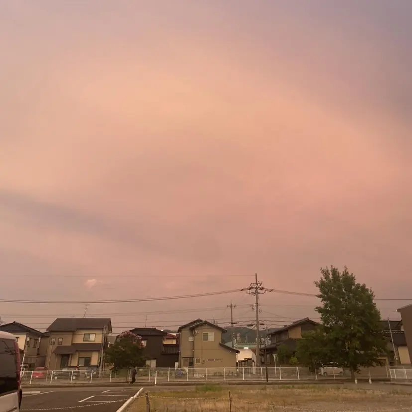 西田 雪乃の掲載