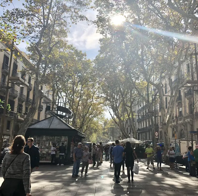 五藤 🍀壽野の掲載