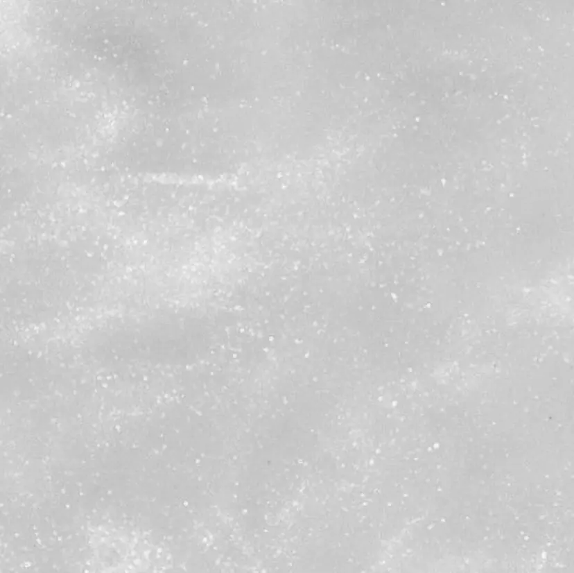 forR's AIKAの掲載