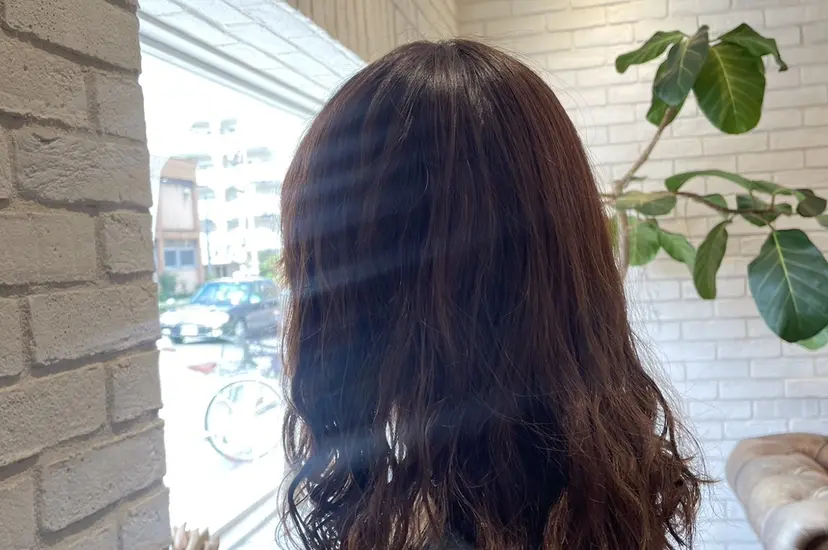 シモカワ マシロの掲載