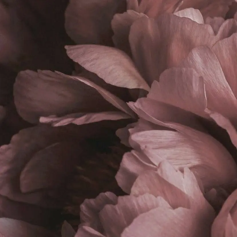 ◎ブリーチ・レイヤー 特化TOSHIKI◎の掲載