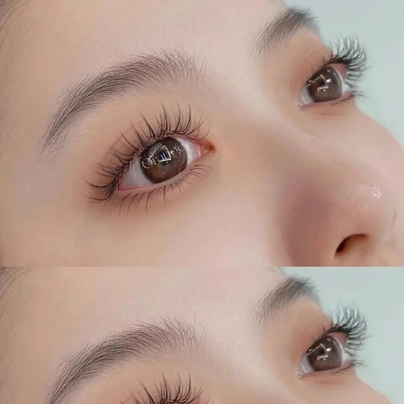 ワンホンデザイン 専門店 FOIの掲載