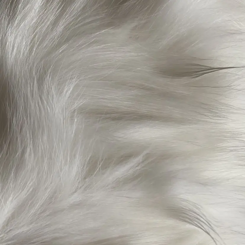 マリーテレジア KOMATUBARAの掲載