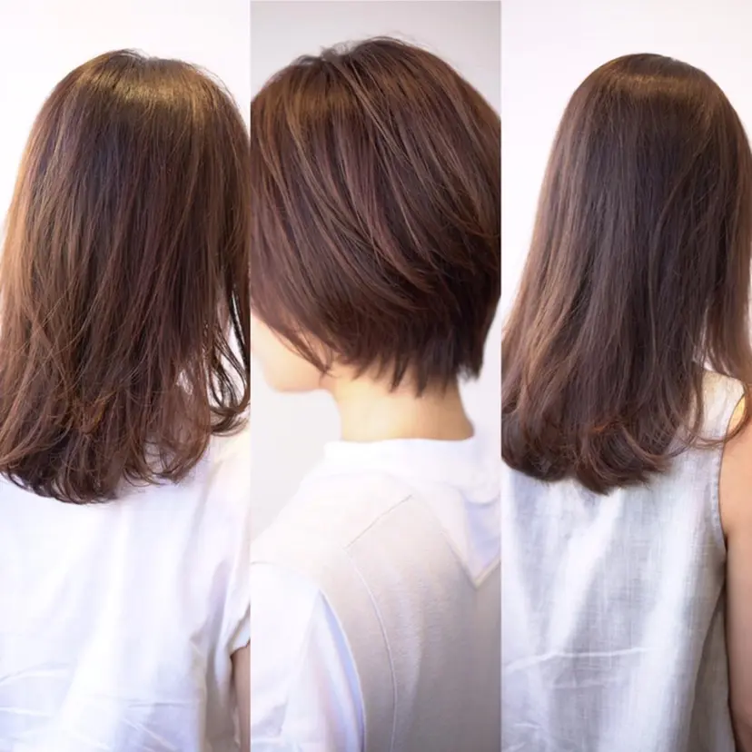 杉本 和彦の掲載