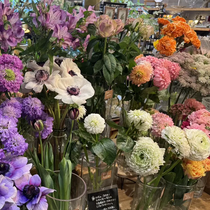 綺羅🫧/clair 長町南の掲載