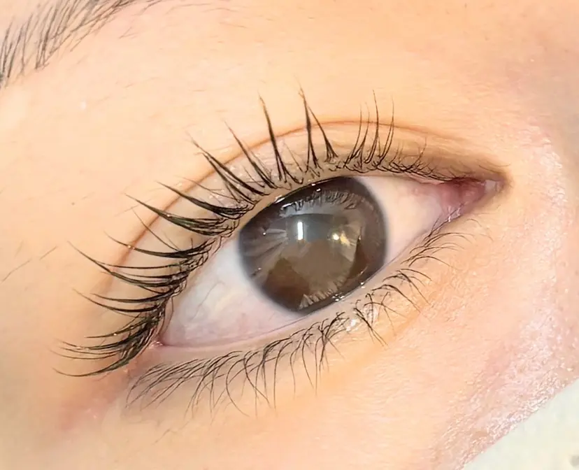 KUON 菊地の掲載