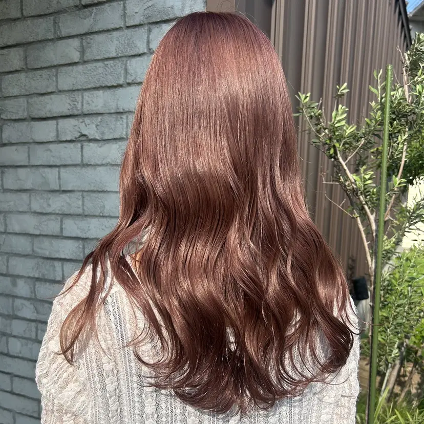 はらだ まおの掲載