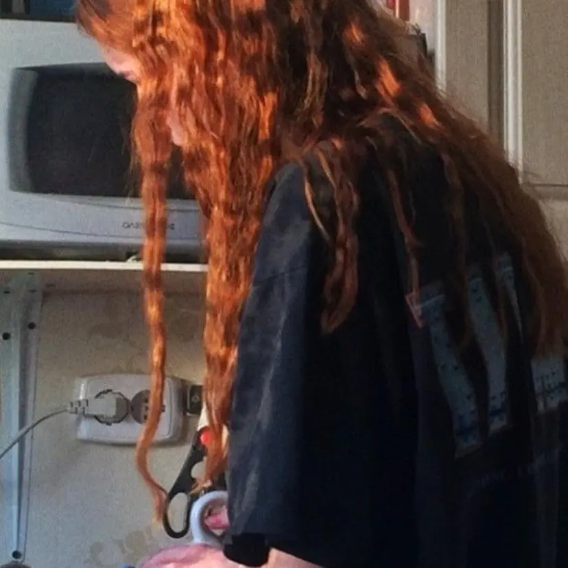 ハシヅメ キョウカの掲載