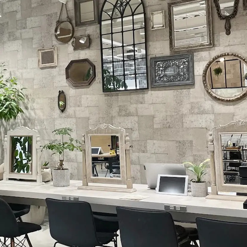 The C 海老名 まこ🎀の掲載