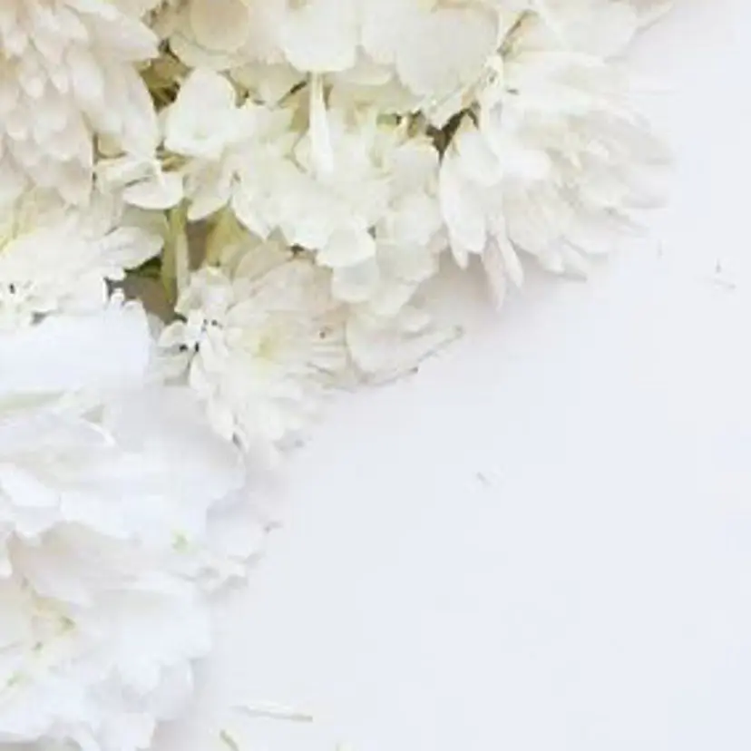 アプレラプリュイ azuの掲載