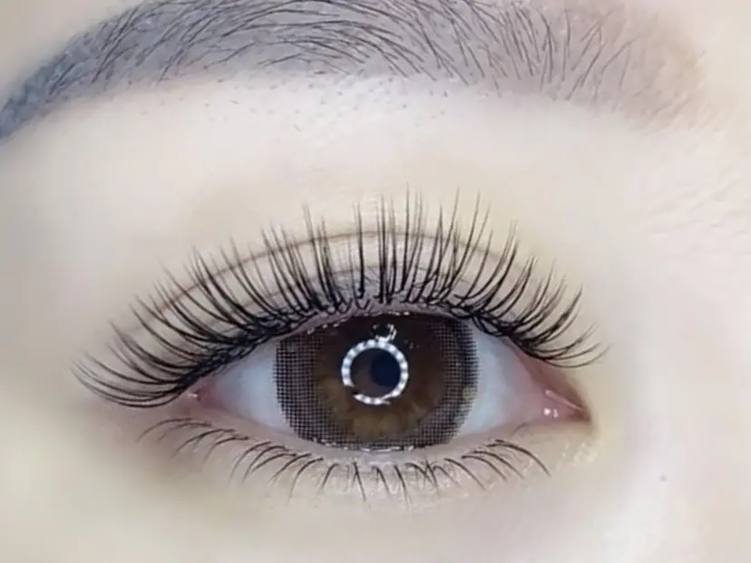 ＫｉＲｉ 🥀　　　　   桐の掲載