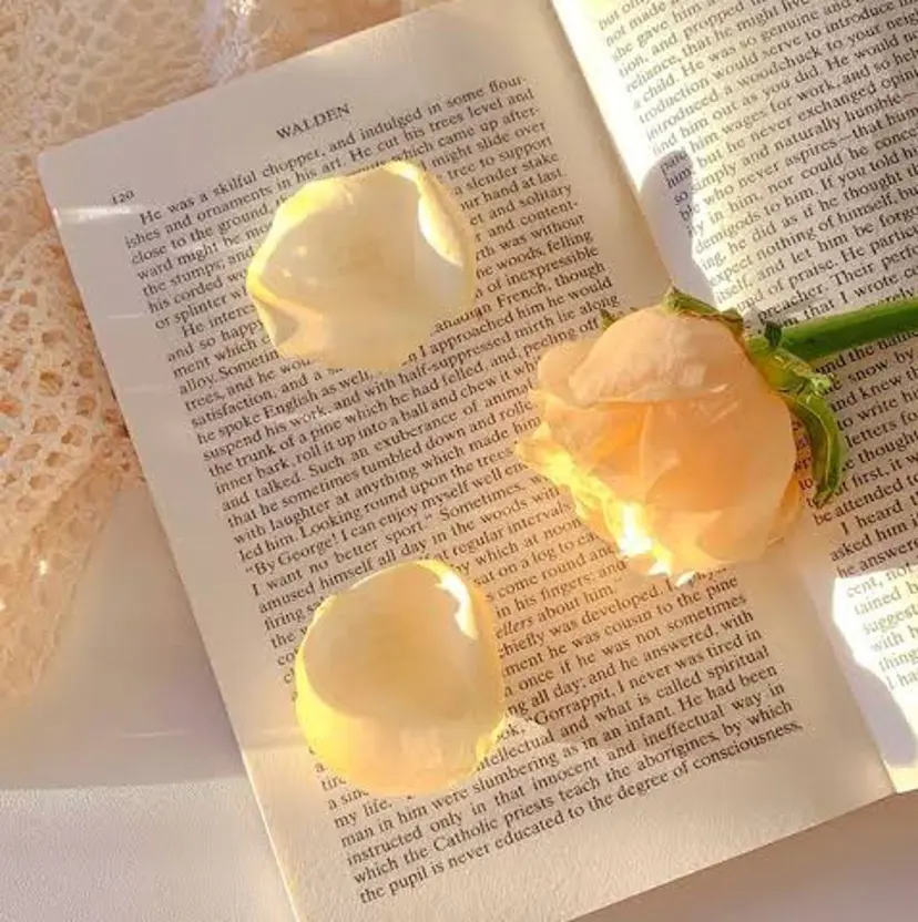 國生 夏未の掲載