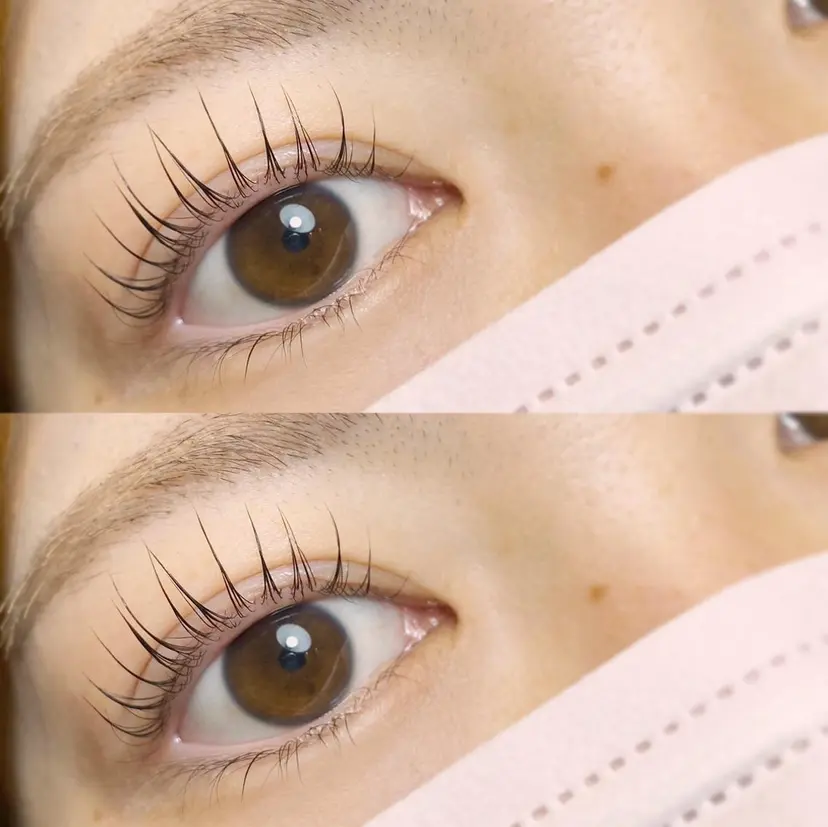 Liure. mayoの掲載