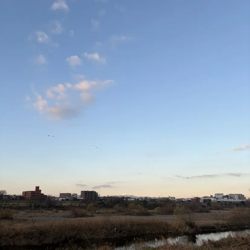 ＊UNU＊ RICOの掲載