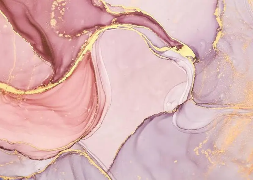 ✨ディーツ セタレ✨の掲載