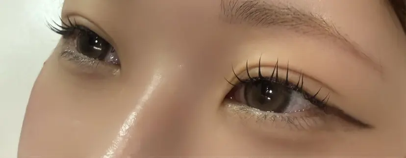 KOTAKE / garden足利店の掲載