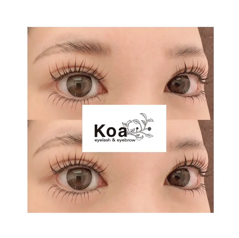 Koa🦋ma ho🦋の掲載