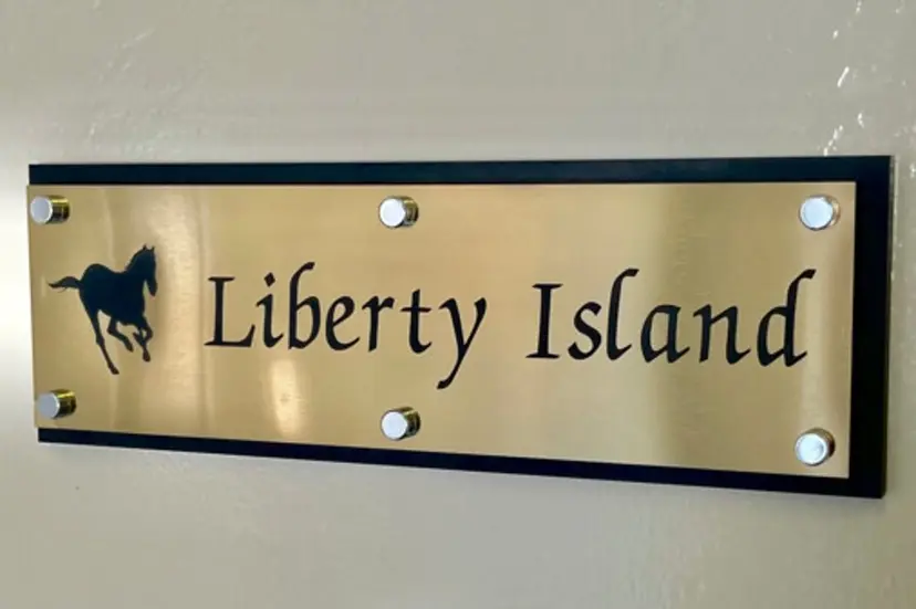 佐々木 愛美の掲載