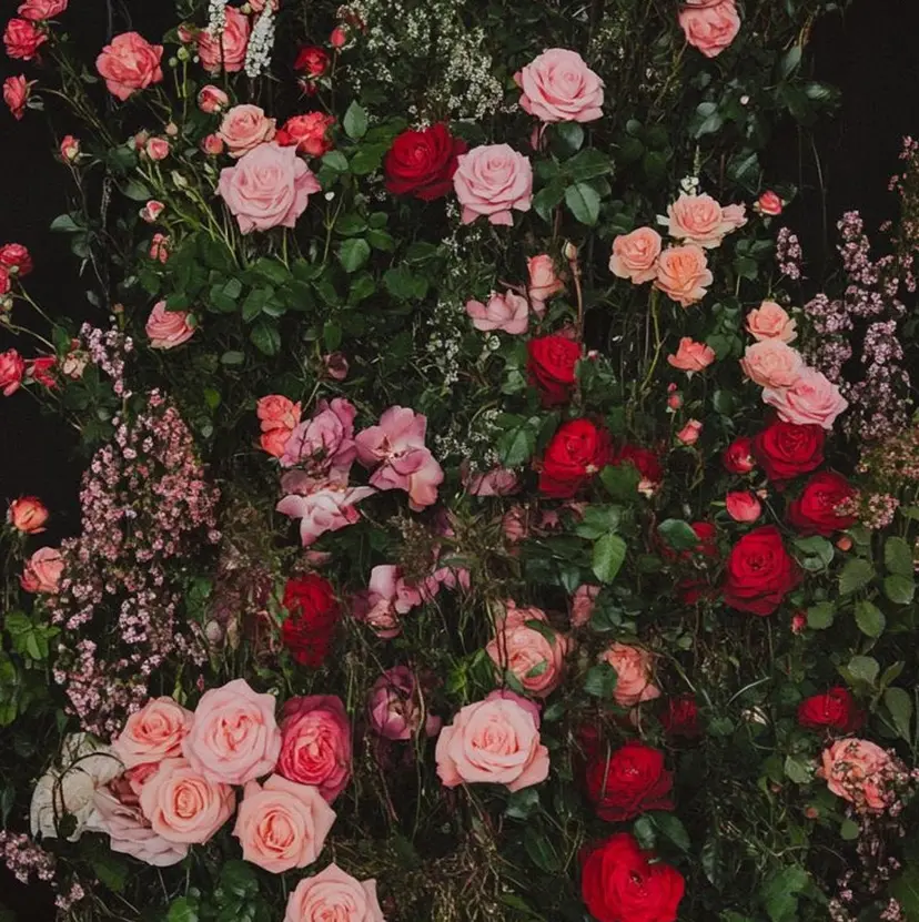 miki-YUCCA -"モデル様募集中"の掲載