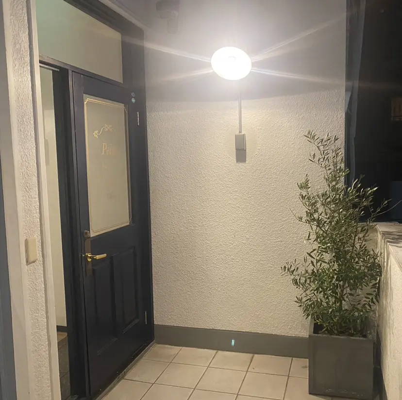 aika /Peigeの掲載