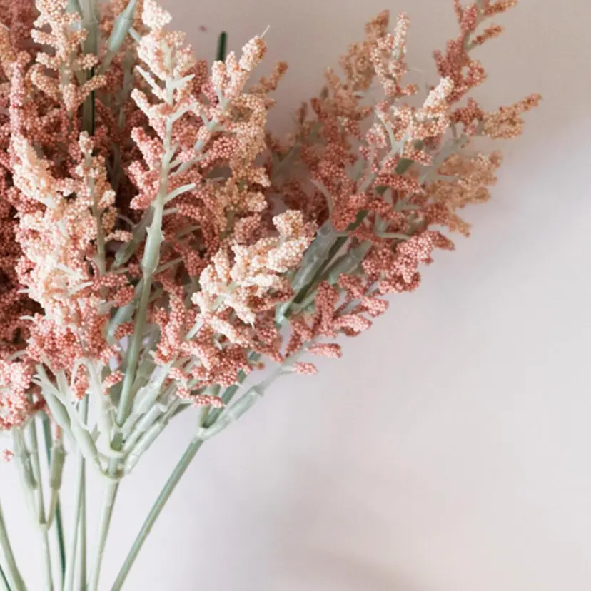 セレビアイ 新越谷店の掲載