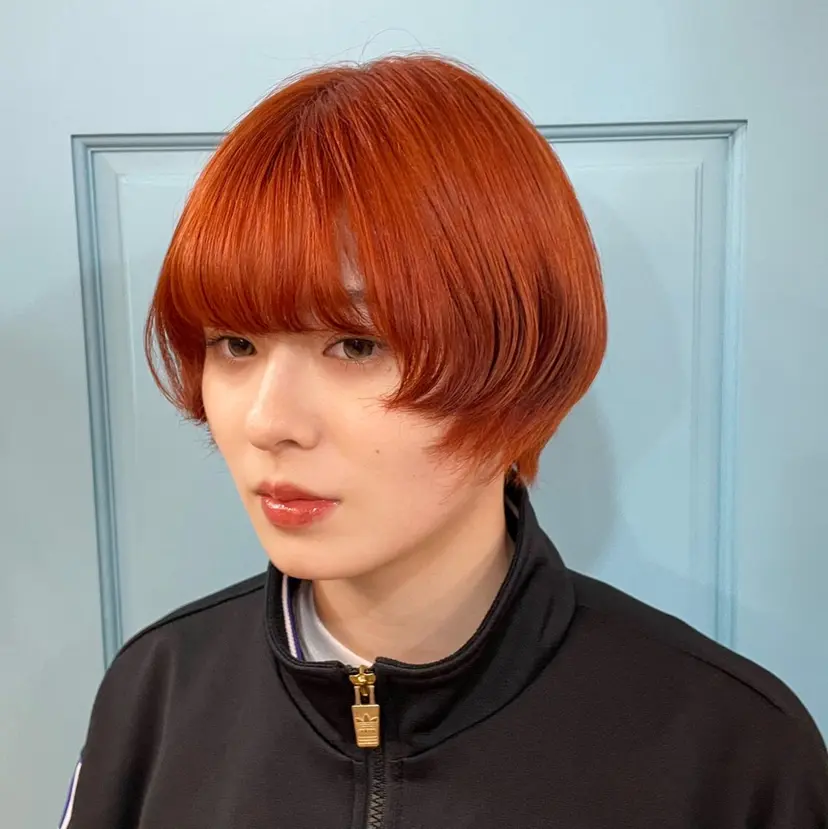 艶カラー/暖色カラー RENAの掲載