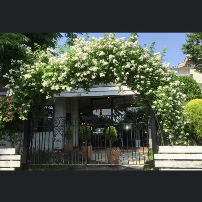 百瀬 なつ美の掲載