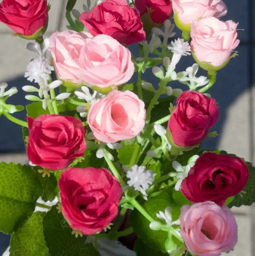 🍒ྀིナカヤマ ミオ🍒ྀིの掲載