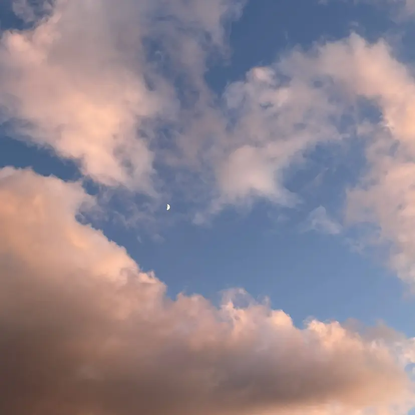 ROSE  MARY 山下🌿の掲載