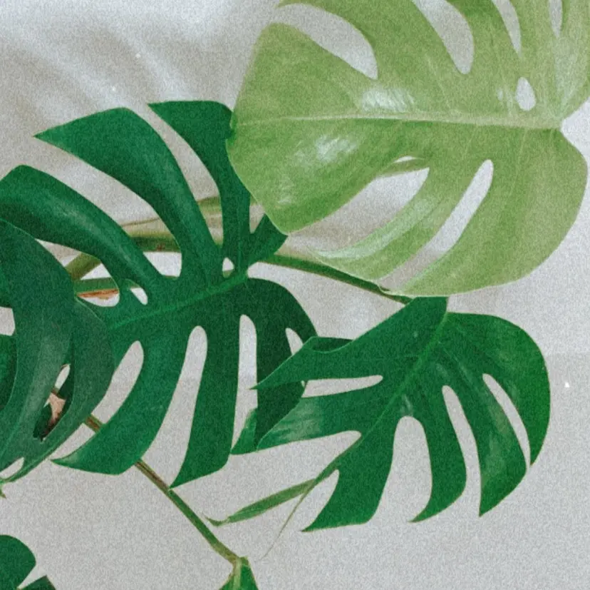 プライベートサロン レアの掲載