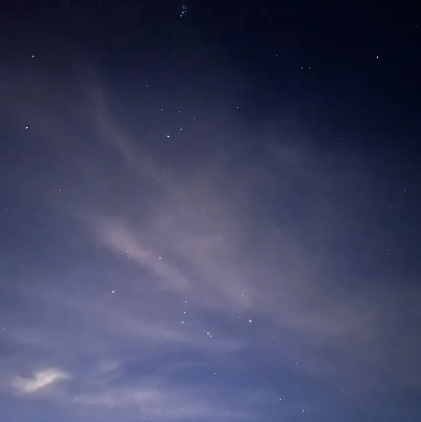 ONE009 ハナ🎀の掲載