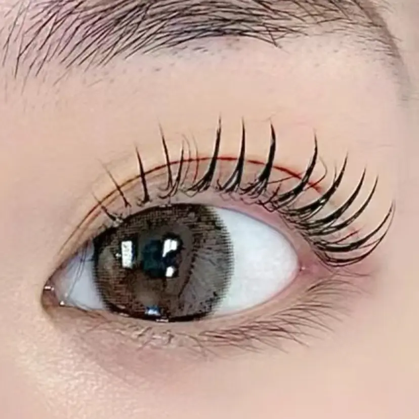 ズイ キキの掲載