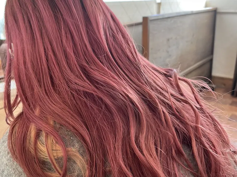 田中 愛音の掲載