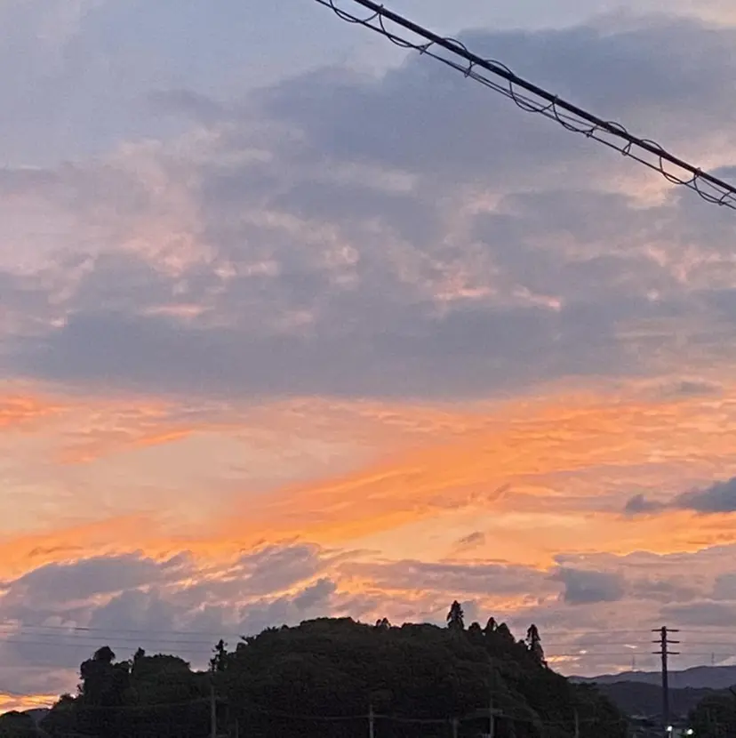 earth新宮 Jesikkaの掲載