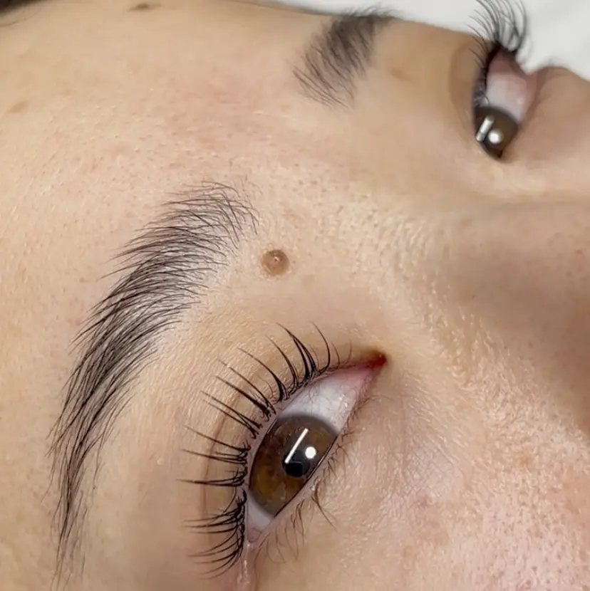 cil eye lash 春菜の掲載