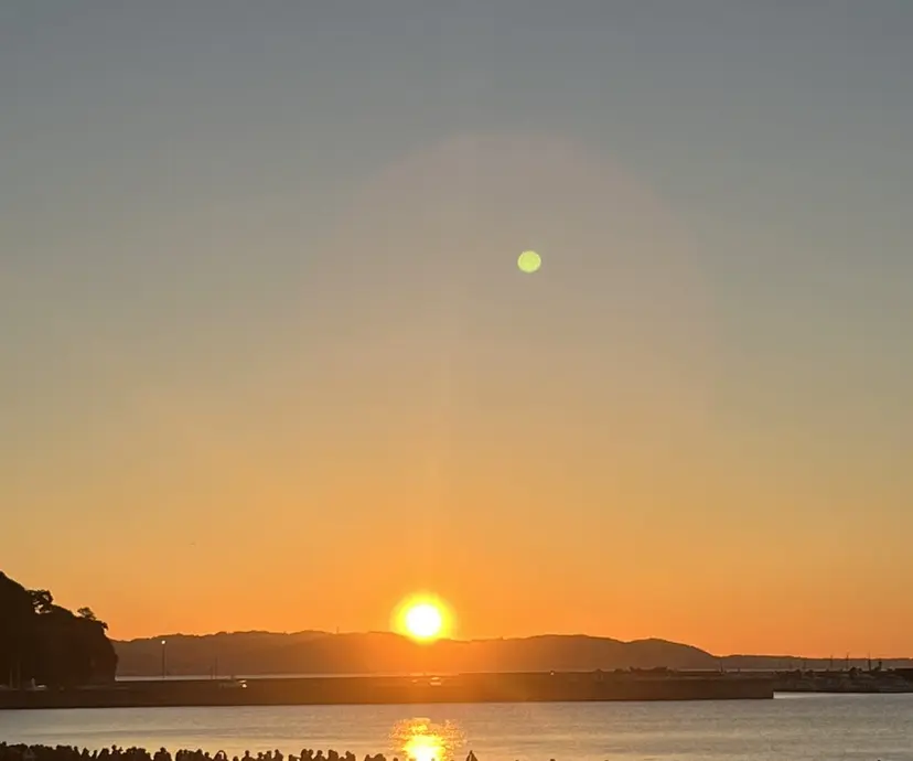 小出 琴未の掲載