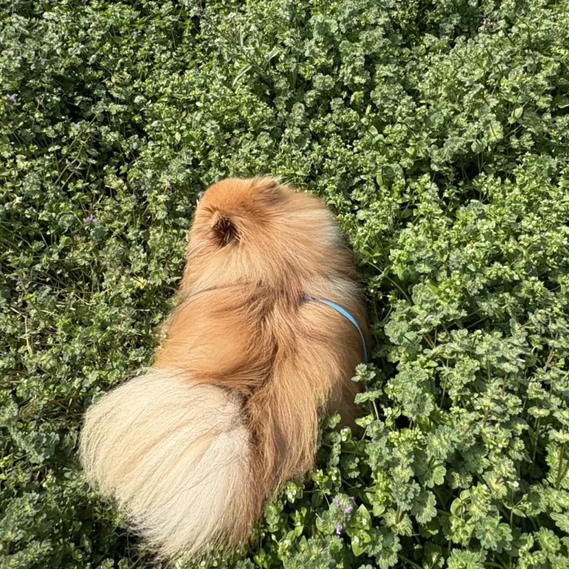 池田 有太の掲載