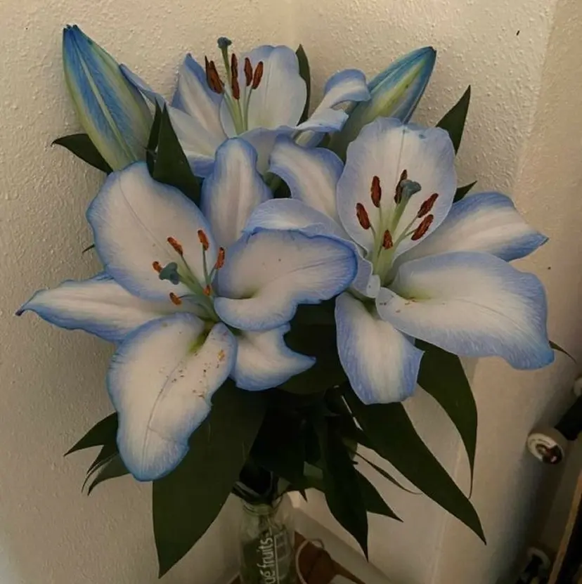 eyes/ 上野/cocoaの掲載