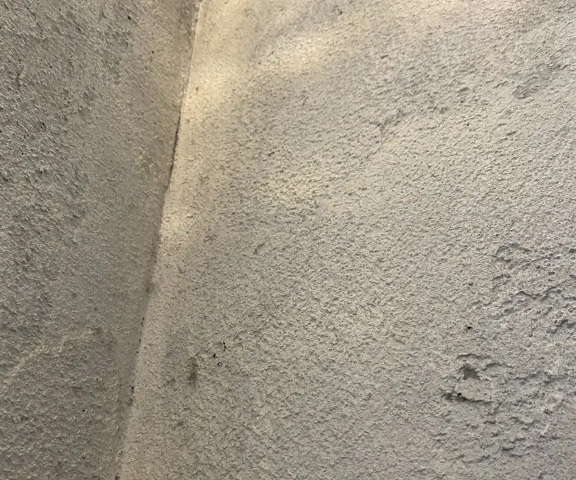 スナハラ リョウカの掲載