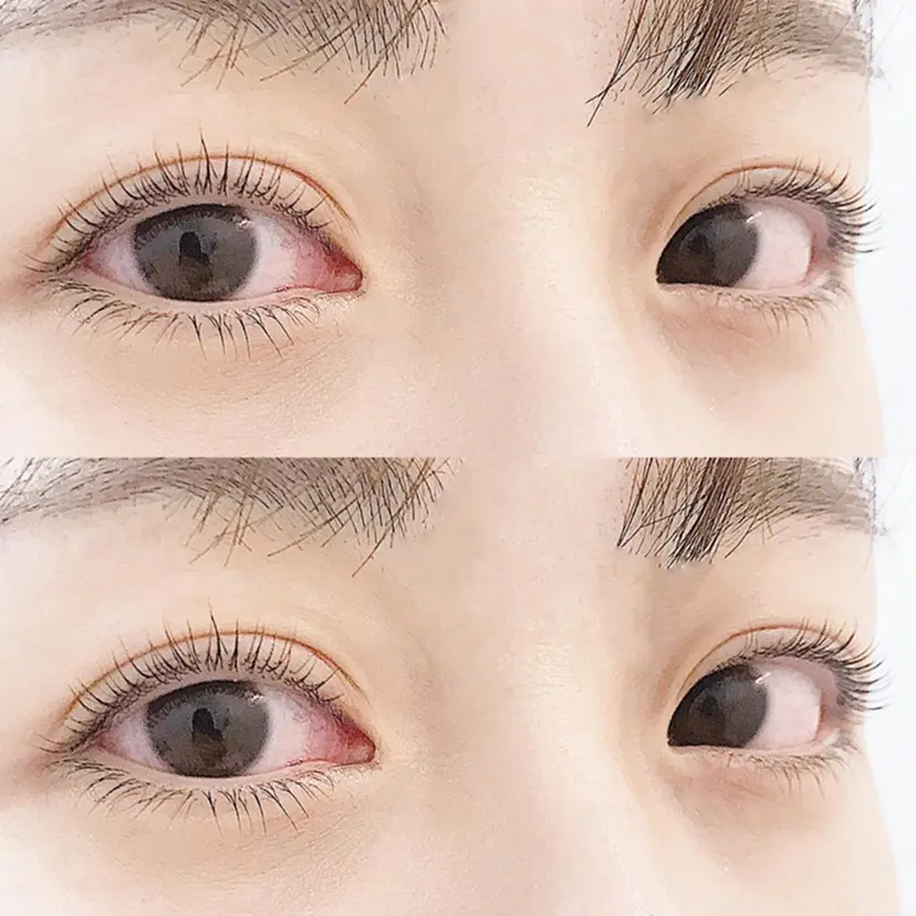 arvo 新潟万代の掲載