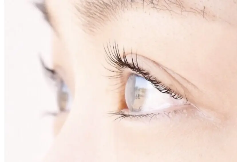 サクラブロウ 難波の掲載