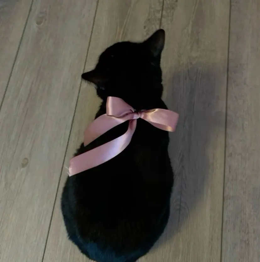 小浜 鈴珠の掲載