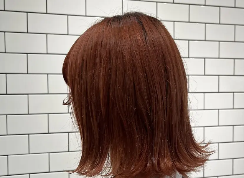 谷 ひな乃の掲載