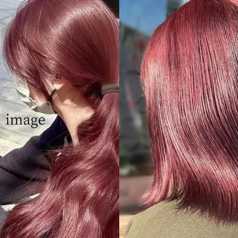 藤野 莉奈の掲載