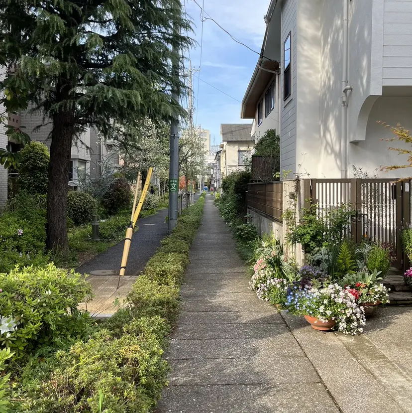 ブリーチなしWカラー /赤み消し/トモキの掲載