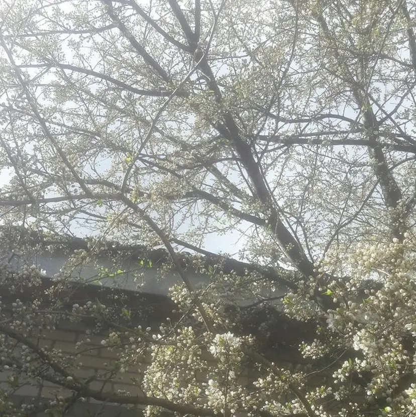 hitomi 〜カラーモデル〜の掲載