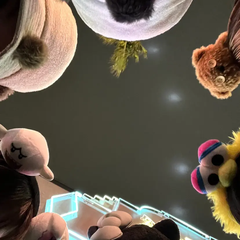 Shimazaki .の掲載