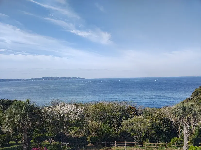 清水 怜子の掲載