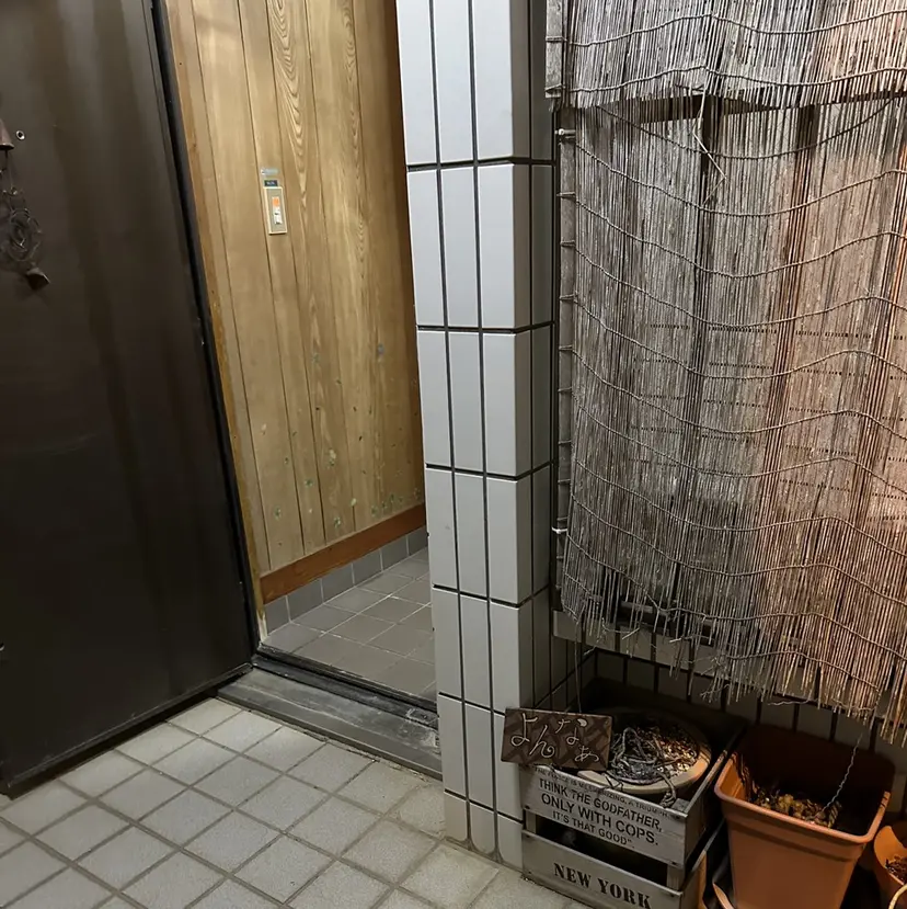 平良 晴菜の掲載